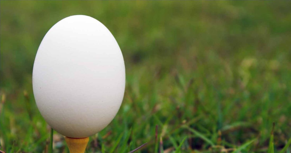 What to eat before during and after playing golf.