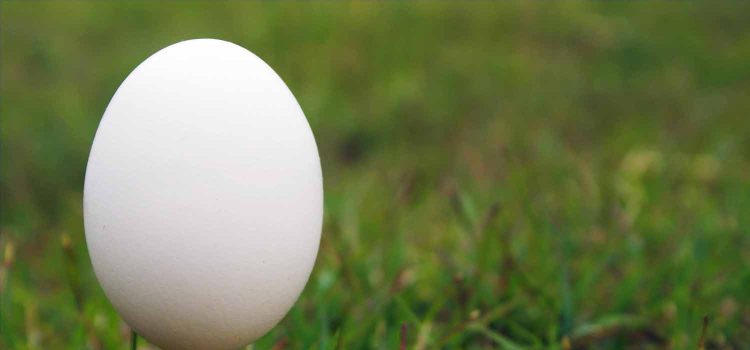 What to eat before during and after playing golf.