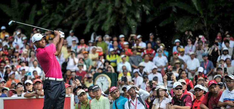 noisy golf crowd shouting as after tiger woods takes his shot