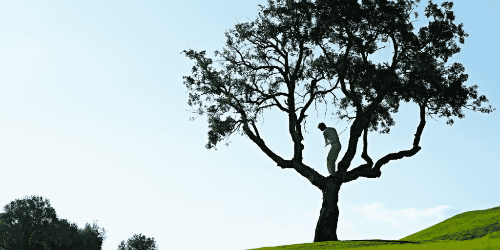 Man hitting a golf ball out of a tree. Probably still put himself down for par!