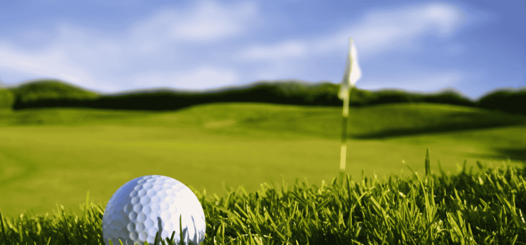 Generic charity golf day image